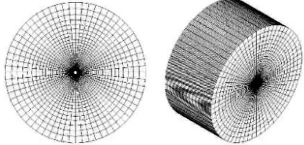 Fig. 1 Computational domain 의  체적탄성계수(bulk modulus)이다.  또한  는  재료의  3차원  변위벡터,    는  재료의  밀도이며,   는  주위  유체로부터  작용 하는  단위  체적당  가진력이다