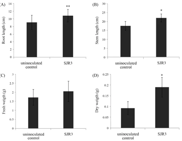 Fig. 2. Root length (A), shoot length (B), fresh weight (C), and dry weight (D) of tomato plants grown for additional 1 week under salt stress