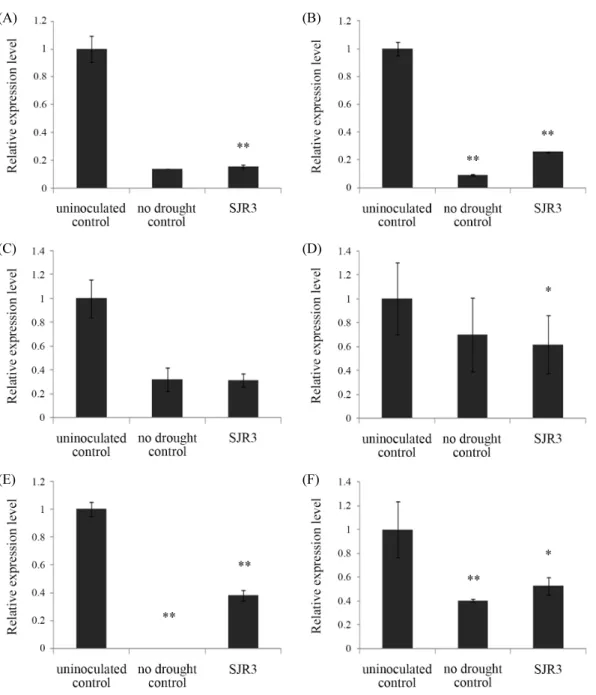 Fig. 3. Relative expressions of LeACO1 (A), LeACO4 (B), LeERF1 (C), LeERF4 (D), LeLE25 (E), and LeERD15 (F) genes in tomato leaves grown for 1 week  under drought stress