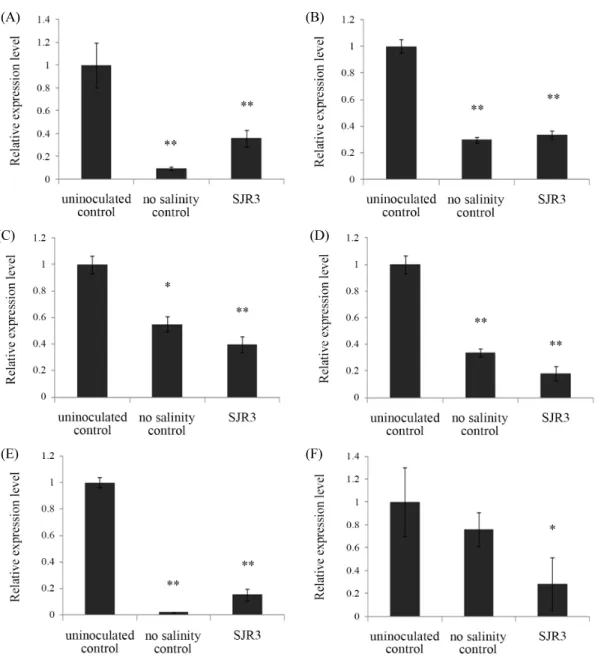 Fig. 4. Relative expressions of LeACO1 (A), LeACO4 (B), LeERF1 (C), LeERF4 (D), LeLE25 (E), and LeNHX1 (F) genes in tomato leaves grown for 1 week  under salt stress