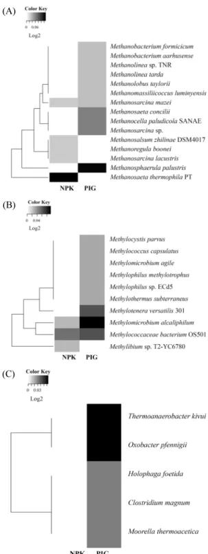 Fig. 1.  Microbial community comparison between NPK and PIG among  Methanogens (A), Methanotrophic/Methylotrophic bacteria (B), and  Acetogens (C).