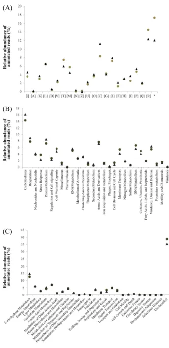 Fig. 2. Total gene (ORF) comparison using MEGAN based on BLASTP  results: COG (A); SEED (B); and KEGG (C)