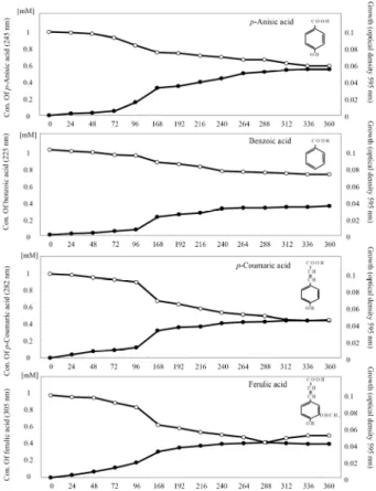 Fig. 1.  Quantitative changes in UV spectrum of aromatic compounds  ( p-anisic acid, benzoic acid, ferulic acid, p-coumaric acid) during incubation period by isolates from humus layer of oak forest