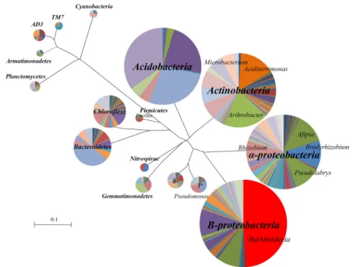 Fig. 2. Biodiversity of bacterial populations in a humus forest soil by tag-encoded 454 FLX-titanium amplification.Yang과 Whang (2003)은 산림토양의 각 층위별로 방향족 화합물 분해세균을 분리하고 16S rRNA 유전자 염기서열을 해석한 결과, 52%가 β-proteobacteria 계통군으로 분류되었으며 산림토양 내 방향족 화합물을 분해하는 우점적 계통