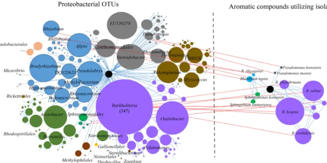 Fig. 3. Co-occurrence networks between the proteobacterial OTUs and the number of shared aromatic compounds utilizing isolates in a humus forest soil