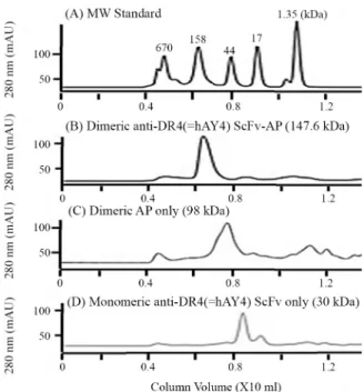 Fig. 4. Size exclusion chromatography. Purified hAY4 ScFv-AP (B), AP  only (C), and hAY4 ScFv only (D) were loaded onto a Superdex 200  increase 20/300 GL column