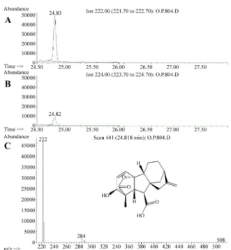 Fig. 2. Combined phylogenic tree for ITS, BenA and CaM of Aspergillus section Nigri. A