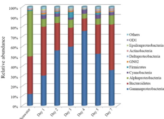 Fig. 1. Bacterial community composition at the phylum or proteobacterial  class level