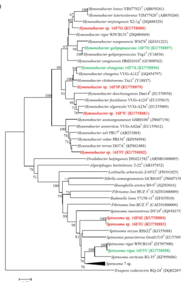 Fig. 1. Continued. 주 대부분은 물이나 극한지의 빙하와 관련된 시료로부터 얻어 진 것을 알 수 있었다.  Ultra-Violet 내성 분석 신종 가능성을 가지는 분리 균주들 중에서 9개의 신종 균주 들을 선정하여 실제 UV 세기에 따른 생장여부를 확인하기 위 해서 UV 내성 실험을 진행하였다