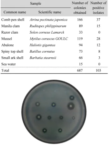 Fig. 1. Agar plate assay of the alginate degrading activity of the isolates. 