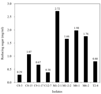 Fig. 2. The amount of reducing sugars released from alginate by the  isolates.