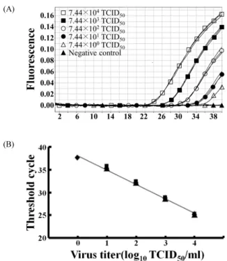 Fig. 1. Quantitative detection of BAdV-1 using optimized TaqMan probe  real-time PCR. (A) Amplification plots obtained with 10-fold serial  dilutions of BAdV-1