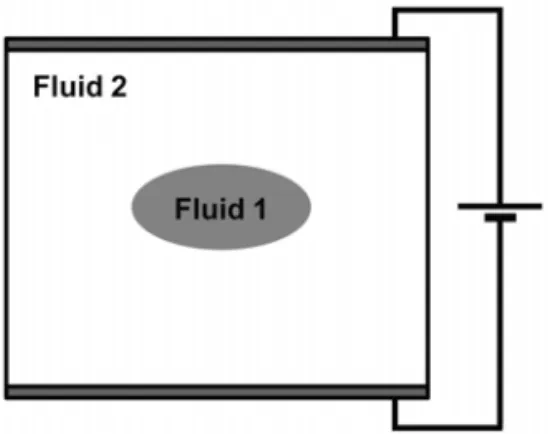 Fig. 2 Droplet deformation under DC electric field