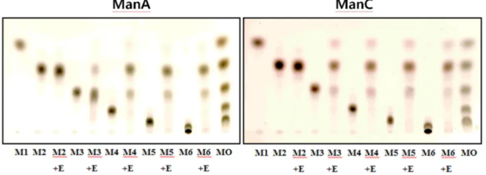 Table 3. Substrate specificities of the partially purified mannanases