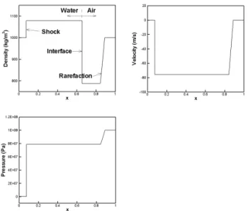 Fig. 5 Isentropic two-phase shock tube problem: low pressure  water and high pressure air