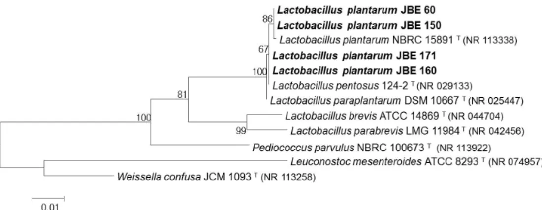 Fig. 2. Phylogenetic tree constructed from comparative analysis of 16S rRNA gene sequences showing the relationships of selected stains with other type  strains