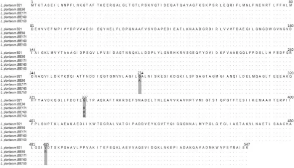 Fig. 5. Sequence alignment (residues 1-547) of the malolactic enzymes between the selected strains