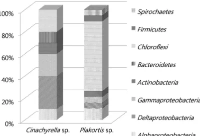 Fig. 3. Comparison of bacterial community based on 16S rRNA gene-V3 in  Cinachyrella sp