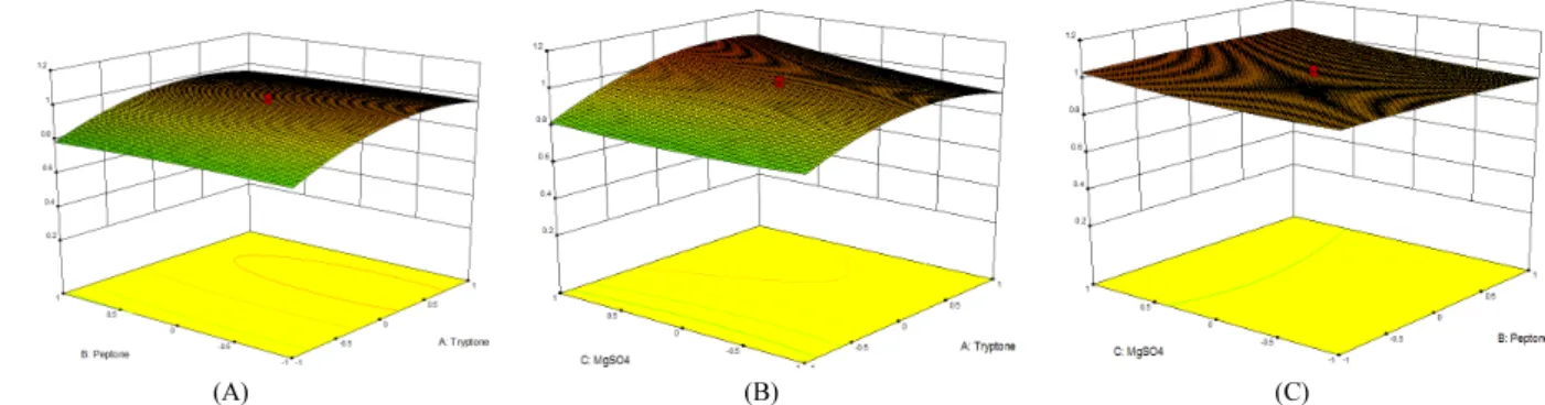 Fig. 3. Three-dimensional response surface of maximal dried cell weight showing the interactions between tryptone, peptone, and MgSO 4  concentration