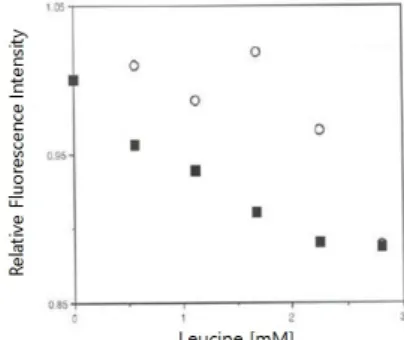 Fig. 4. Effect of the increasing of leucine concentration on the  binding Lrp R145W to the specific DNA from ilvIH operon