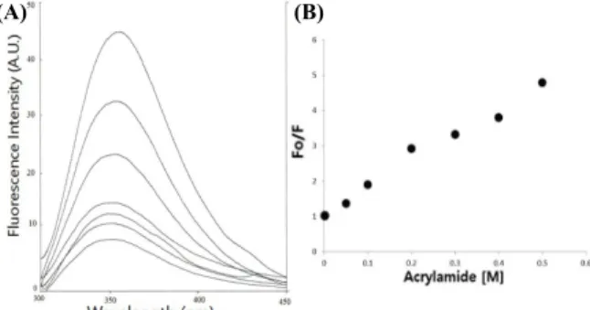 Fig. 5. (A) Effects of acrylamide on tryptophan fluorescence of Lrp  R145W. As shown in plotted lines from top to down, acrylamide  concentration was increased from 0 to 0.5 M