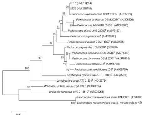 Fig. 1. Phylogenetic tree constructed from comparative analysis of 16S rRNA gene sequences showing the relationships of LE17 and LE22 with  other type strains