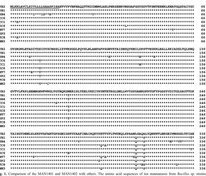 Fig. 1. Comparison of the MAN1401 and MAN1402 with others. The amino acid sequences of ten mannanases from Bacillus  sp
