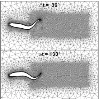 Fig. 11 Amplitude of undulatory motion used for the simulation of  tadpole swimming