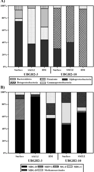 Fig. 2. Community structures of domains Bacteria (A) and Archaea  (B) from UBGH2-3 and UBGH2-10
