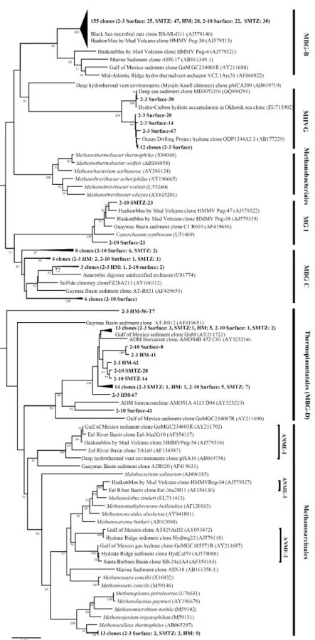 Fig. 4. Phylogenetic tree of archaeal 16S rRNA genes from UBGH2-3 and UBGH2-10 sediments