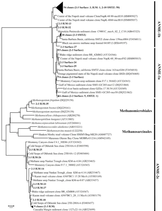 Fig. 5. Phylogenetic tree of mcrA genes from UBGH2-3 and UBGH2-10 sediments. Names in bold face indicate clones obtained during this  study