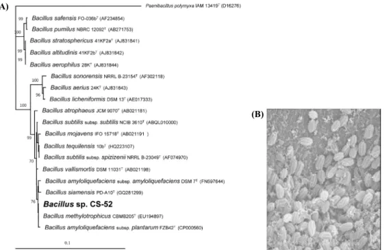 Table 1. Effects of various sources, nitrogen sources and mineral salt sources on the antifungal activities from Bacillus sp