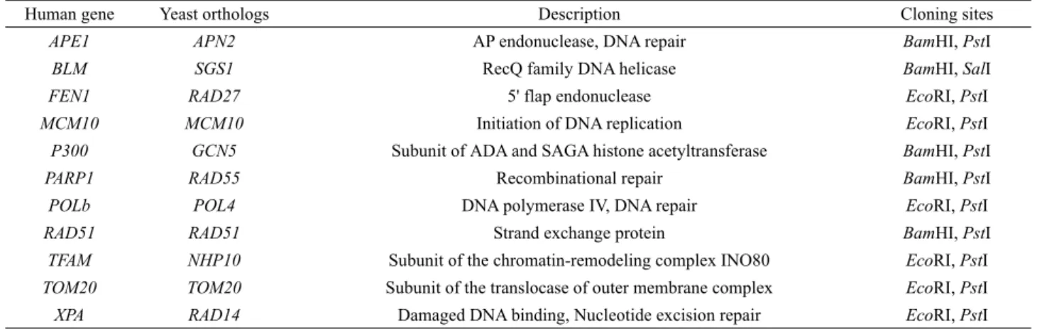 Table 1. Candidate genes interacting with HRQ1