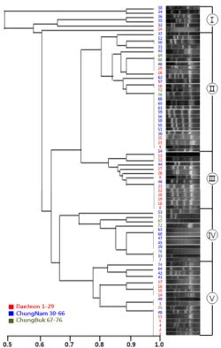 Fig. 1. UPGMA cluster dendrogram of ESBL-producing E. coli based on ERIC-PCR.