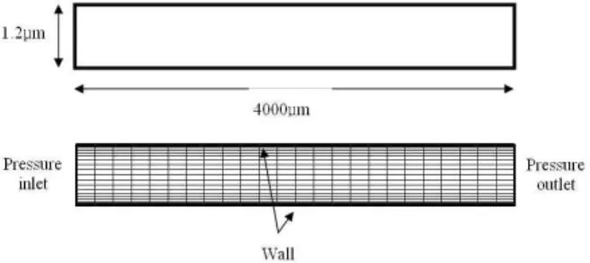 Fig. 1 Geometry and computational mesh of microchannel