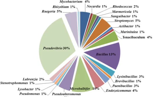 Fig. 2. Genus of bacterial community of C. elegans.