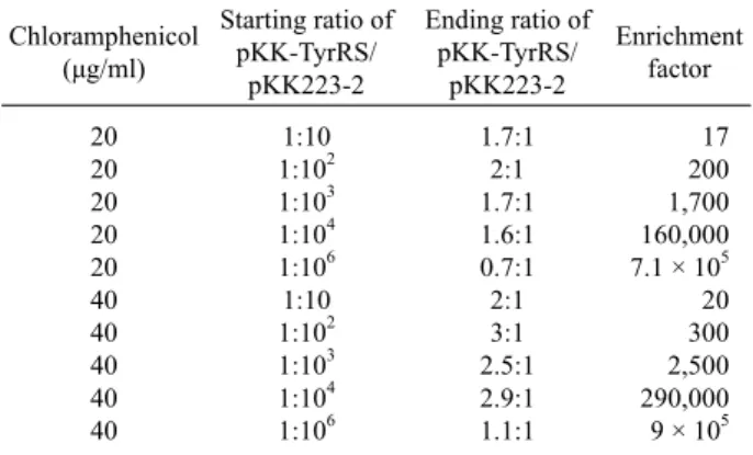 Fig. 2. Chloramphenicol resistance of the positive selection. Growth  inhibition of E