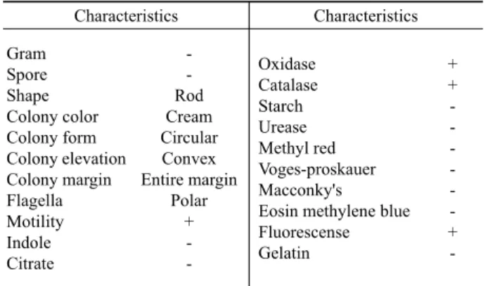 Table 2. Utilization and fermentation of various carbon sources in  Pseudomonas sp. HN37