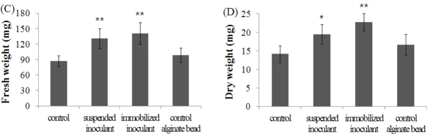 Fig. 2. Fresh weight (C) and dry weight (D) of 30-day grown tomato seedlings treated with A