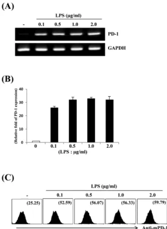Fig. 1. Dose-dependency of PD-1 expression in LPS-stimulated  Raw264.7 cells. Raw264.7 cells were treated with PBS or the  indicated concentrations of LPS for 6 h