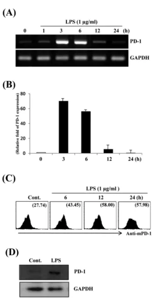 Fig. 2. Time-dependency of PD-1 expression in LPS-stimulated Raw264.7 cells. Raw264.7 cells were treated with PBS or LPS (1 μg/ml)  for the indicated times