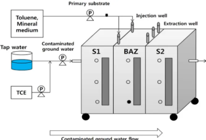 Fig. 1. Schematic diagram of the TCE-contaminated groundwater  treatment system. S1, soil; BAZ, Bioactive zone (including  immobilized bacterial carrier); S2, soil; P, pump; ○, sampling port; 