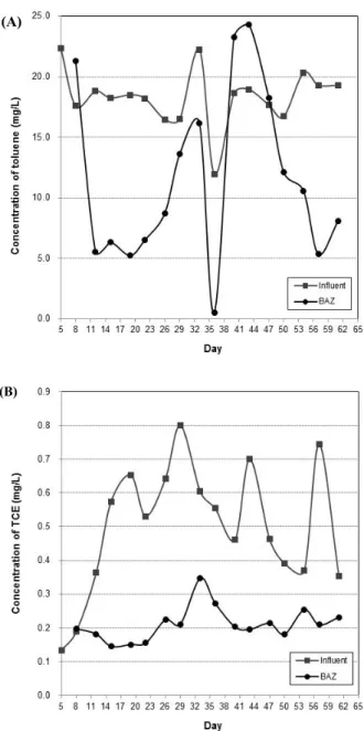 Fig. 2. Time course of toluene and TCE degradation of the Pilot-plant including re-injection