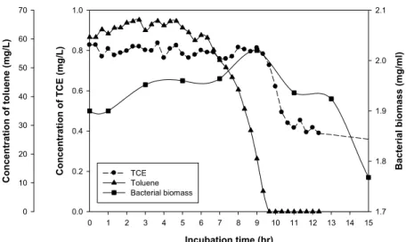 Fig. 4. Time course of toluene and TCE degradation by Pseudomonas  sp. DHC8. The initial concentrations of toluene and TCE were 60.61  mg/L and 0.83 mg/L, respectively (symbols: ●, TCE; ▲, toluene; ■, Bacterial biomass).