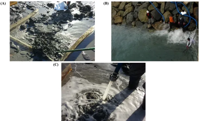 Fig. 2. Clean up of field precipitated oils in the sediments (A) and on the rock surfaces by the air jet system (B) and in the sediments by water  pumping (C)