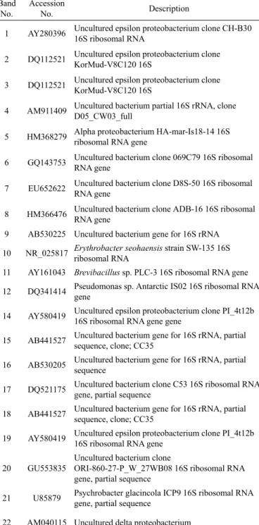 Table 2. Identification of microbial communities based on sequence analysis of 16S DNA amplified from DNA fragments derived from  PCR-DGGE (Fig