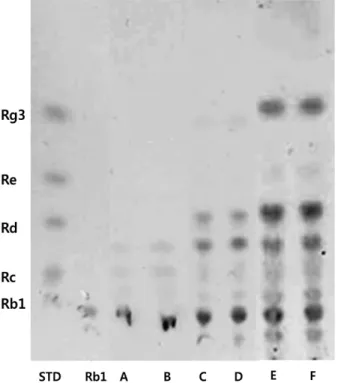 Fig. 1. Profile of converted ginsenoside Rb1 by Stenotrophomonas sp. 4KR4. A, TLC analysis of time-course transformation