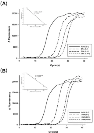 Fig. 3. Amplification of SSU rRNA of N. ceranae from Bombus  terrestris. (A) Region 1 amplification