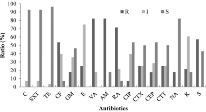 Fig. 1. Resistance (R), intermediate resistance (I), and sensitivity  (S) ratios of the Vibrio  spp