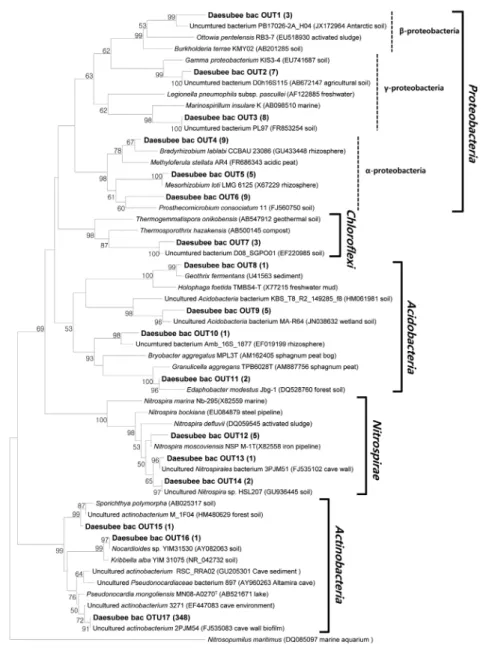 Fig. 4. Phylogenetic tree show the relationship between bacteria (A) and reference sequences